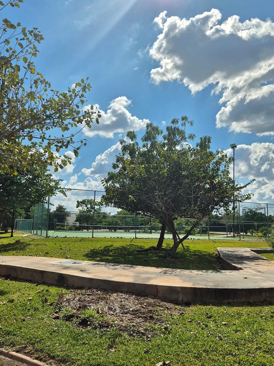 Terreno en Komchen, Mérida, foto 9 de 9