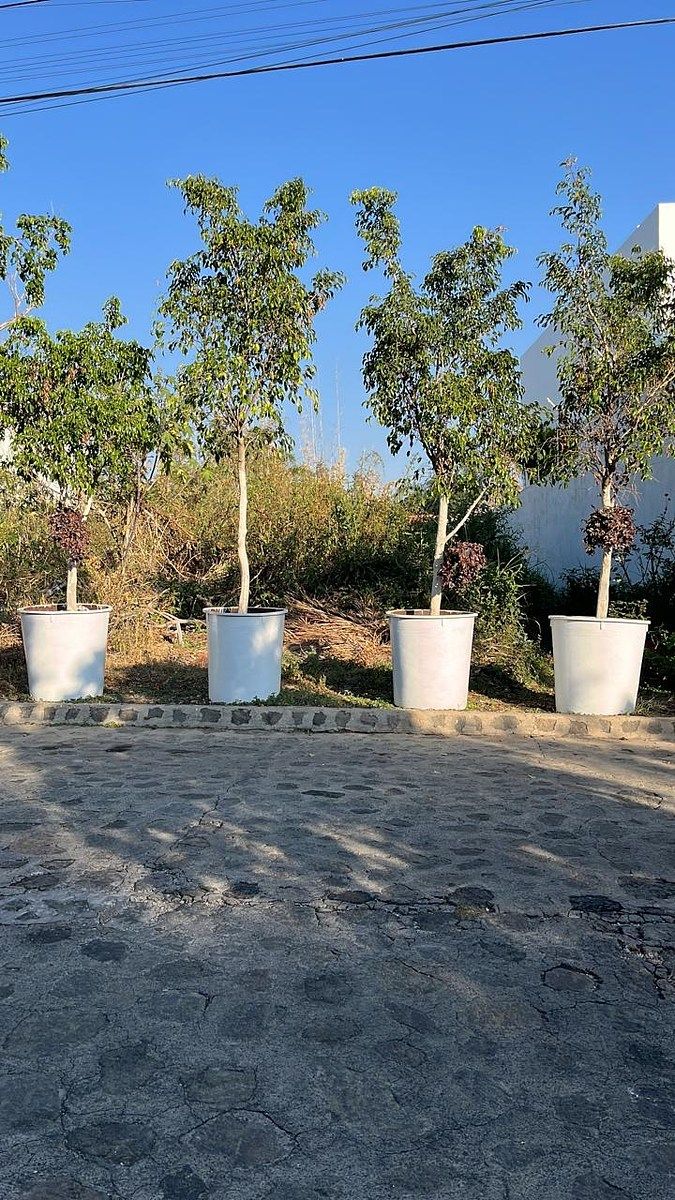 VENTA TERRENO EN CUERNAVACA EN ZONA DORADA, foto 1 de 5