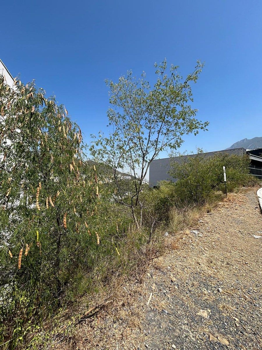 Terreno en Lomas de Valle Alto, Monterrey, foto 6 de 16