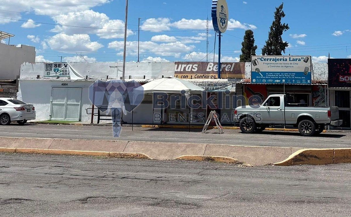 Terreno comercial en Sector Sur, Delicias, foto 2 de 14