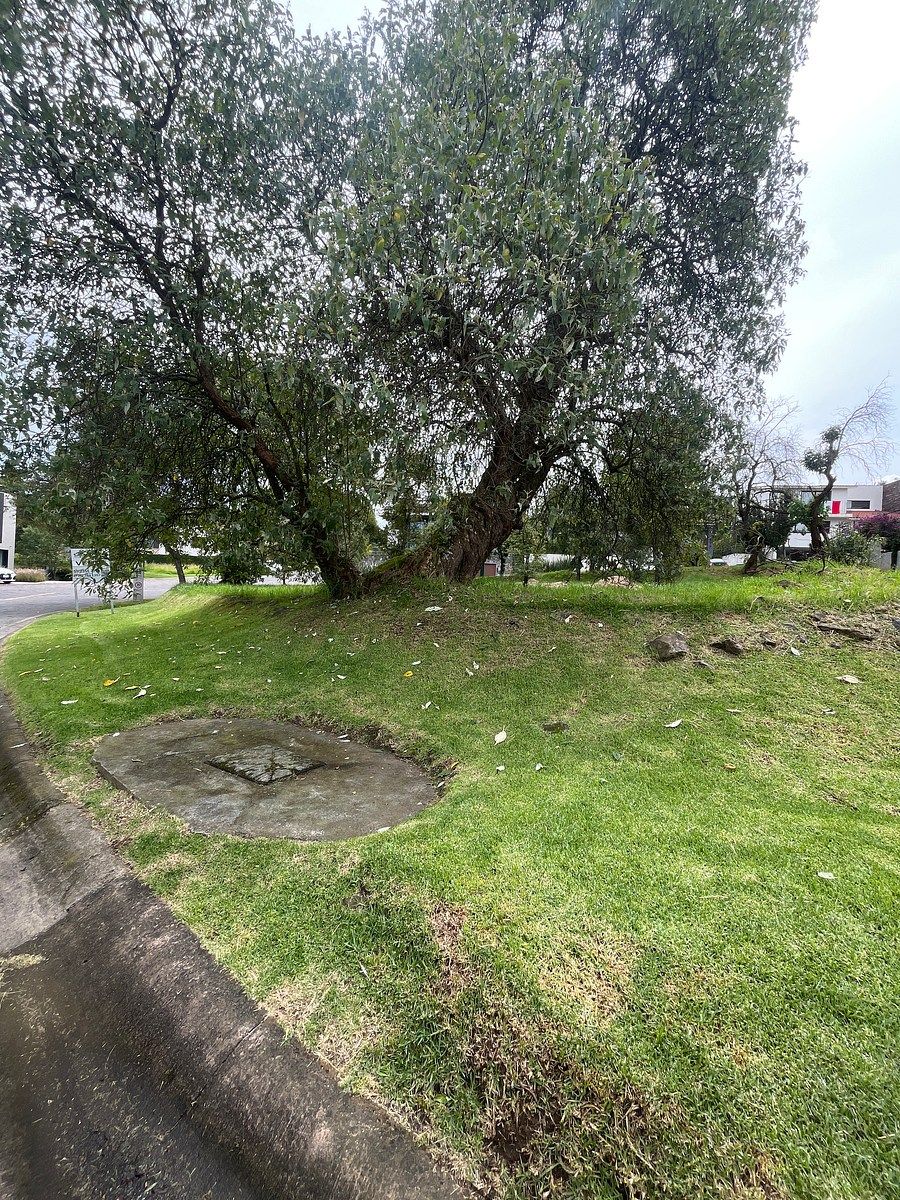 Terreno Encinos