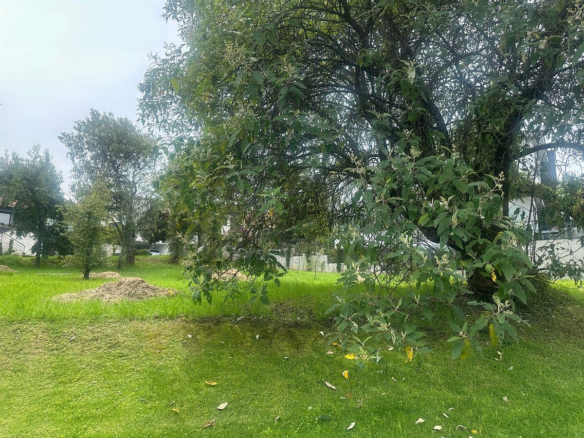 Lot in Bosque de los Encinos, Ocoyoacac, photo 2 of 4