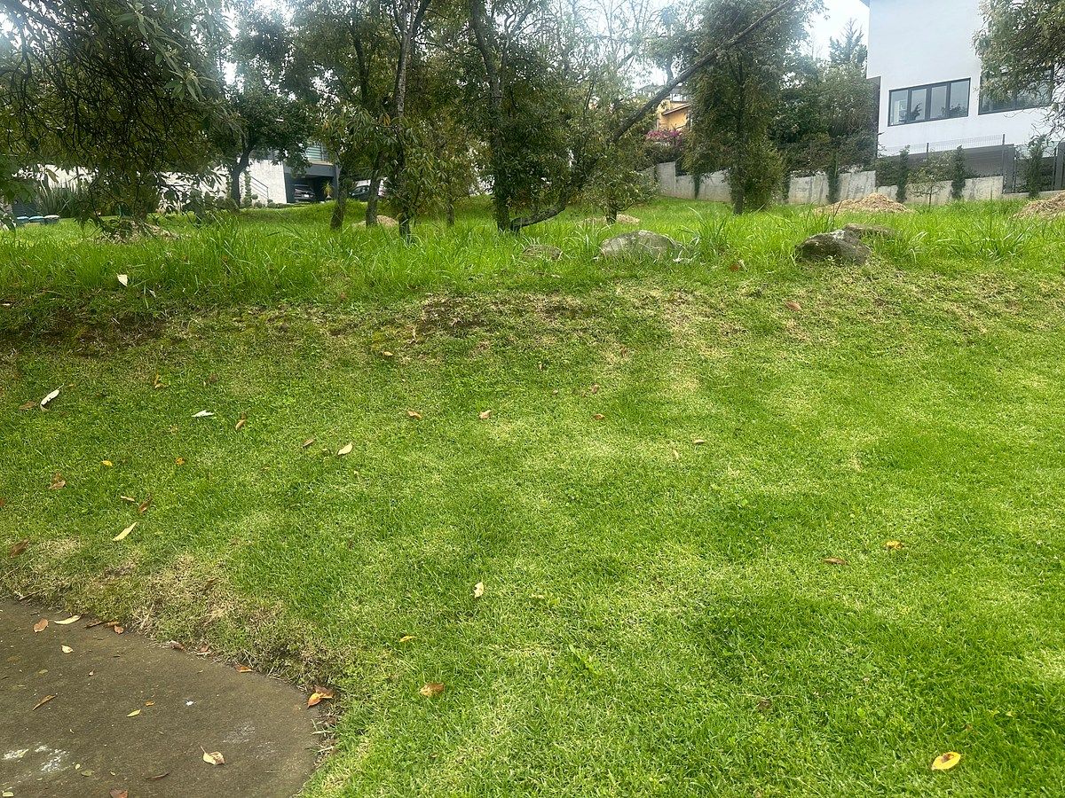 Lot in Bosque de los Encinos, Ocoyoacac, photo 3 of 4