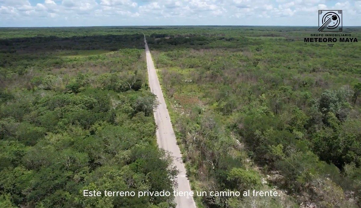 376-hectare land on Yaxcabá highway, photo 1 of 5