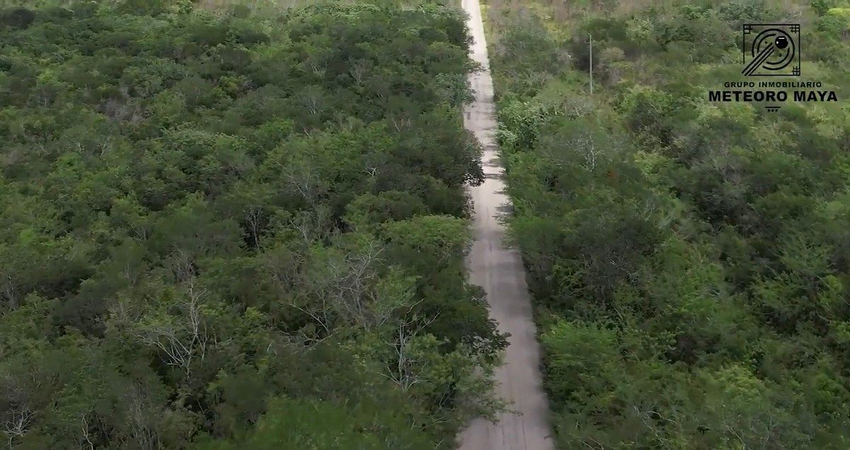 Lot in Libre Unión, Yaxcabá, photo 4 of 5