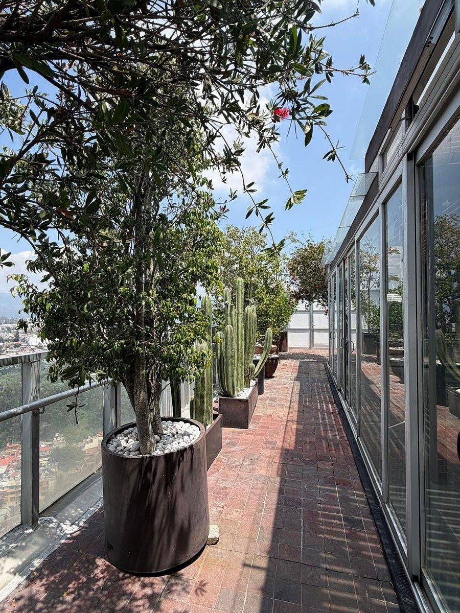 Apartamento em Lomas de Vista Hermosa, Cuajimalpa de Morelos, foto 21 de 38