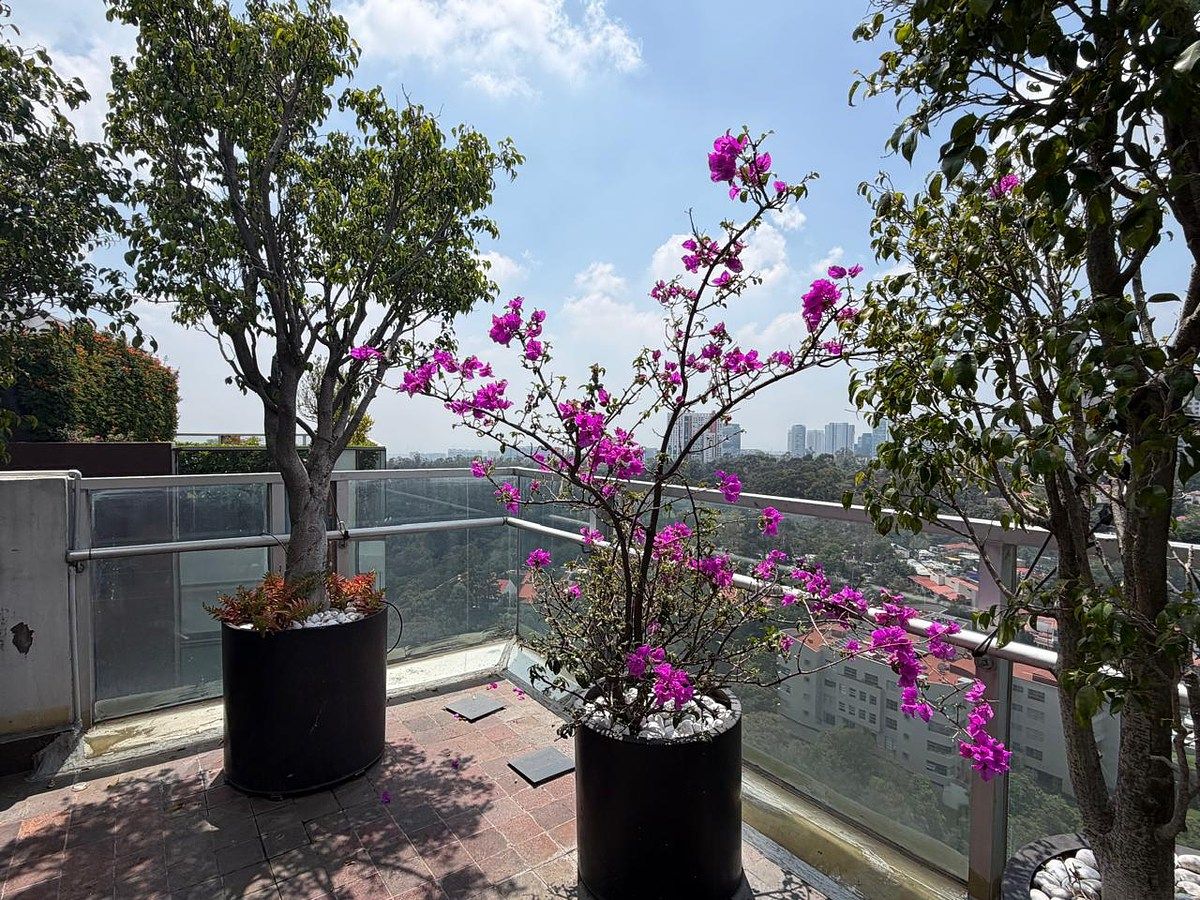Apartamento em Lomas de Vista Hermosa, Cuajimalpa de Morelos, foto 23 de 38