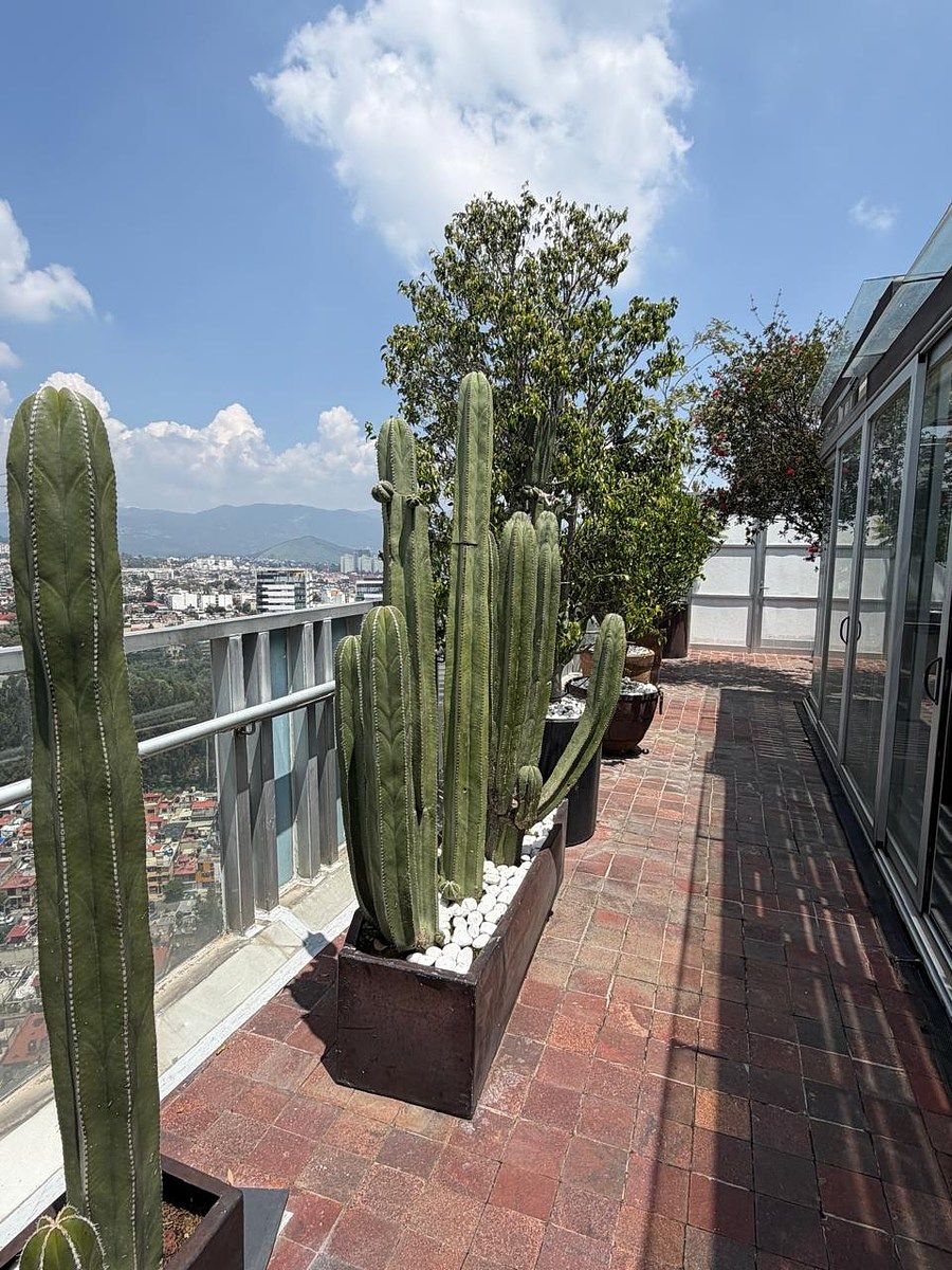 Apartamento em Lomas de Vista Hermosa, Cuajimalpa de Morelos, foto 26 de 38