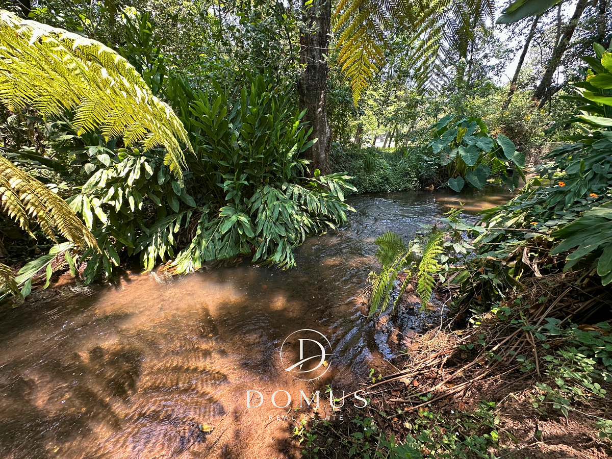Lot in Avándaro, Valle de Bravo, photo 7 of 7
