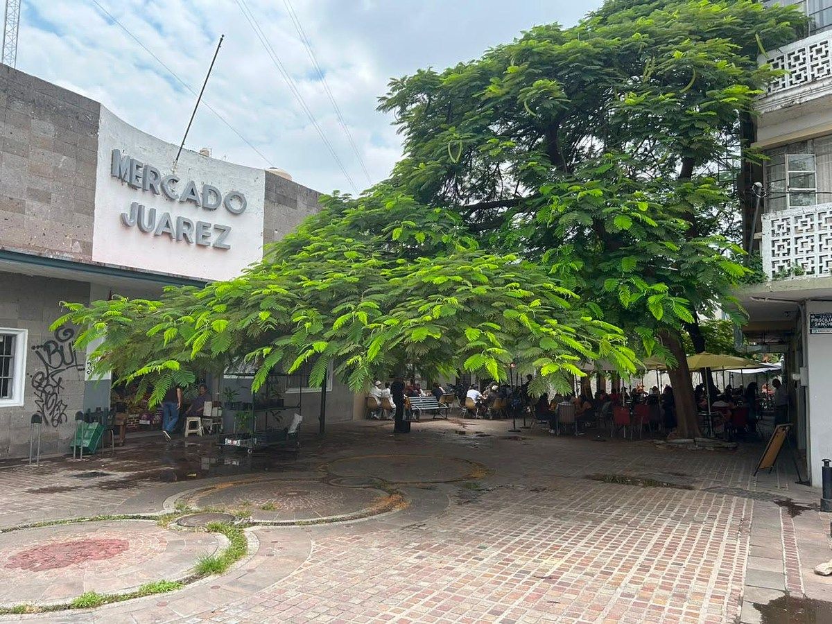 Local à Venda na Colonia Americana, foto 1 de 6