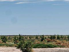 Rancho en Ahumada, Ahumada, foto 2 de 8