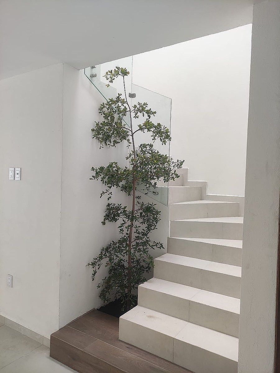 Casa en condominio en Valle Imperial, Zapopan, foto 12 de 27