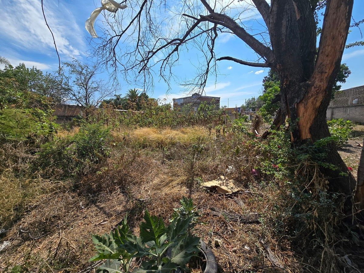 Lote em Las Juntas, Tlaquepaque, foto 2 de 5