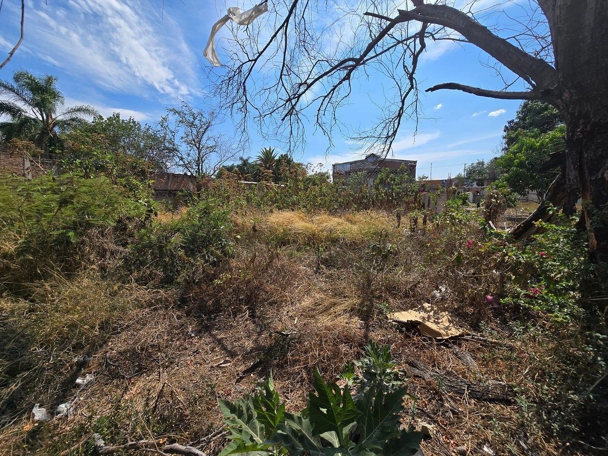 Lote em Las Juntas, Tlaquepaque, foto 3 de 5