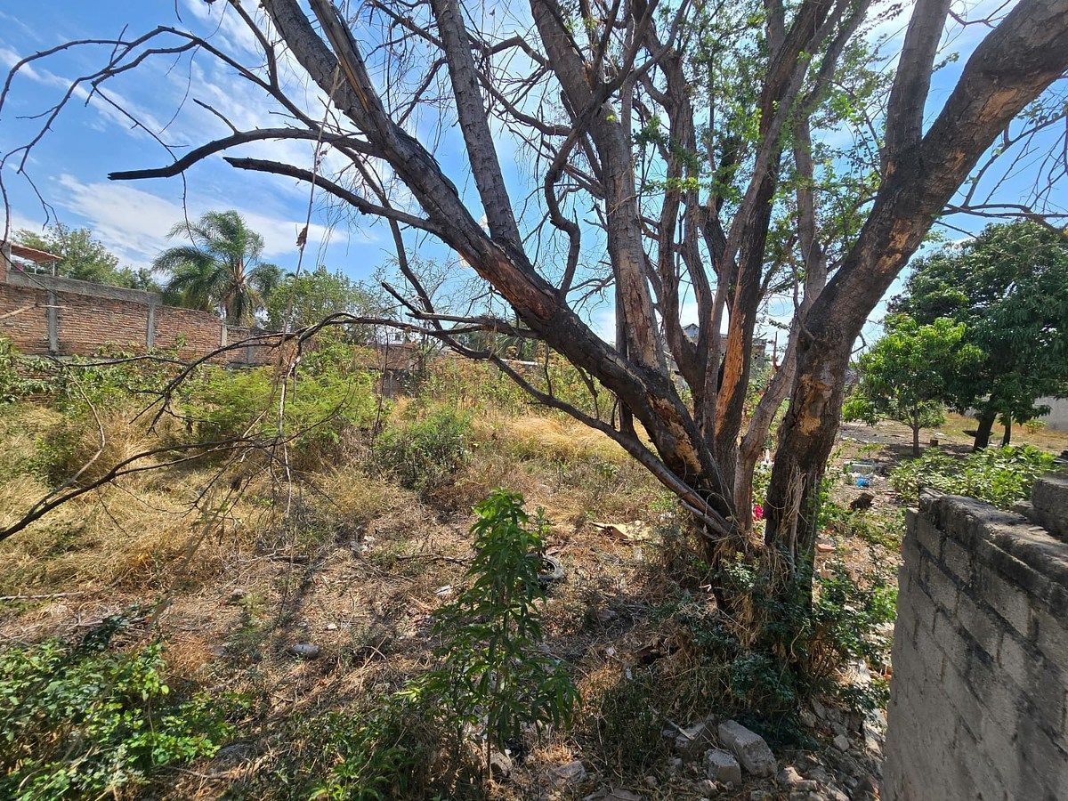 Lote em Las Juntas, Tlaquepaque, foto 5 de 5