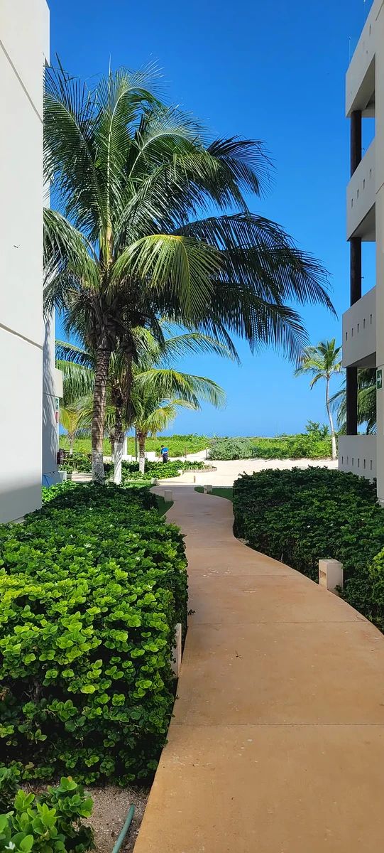 Apartamento em Telchac Puerto, Telchac Puerto, foto 19 de 27