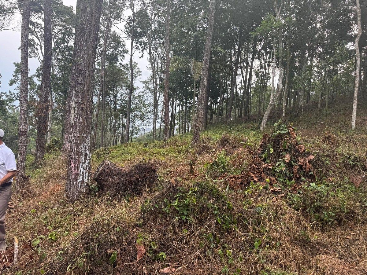 Terreno en Jarabacoa, foto 2 de 4