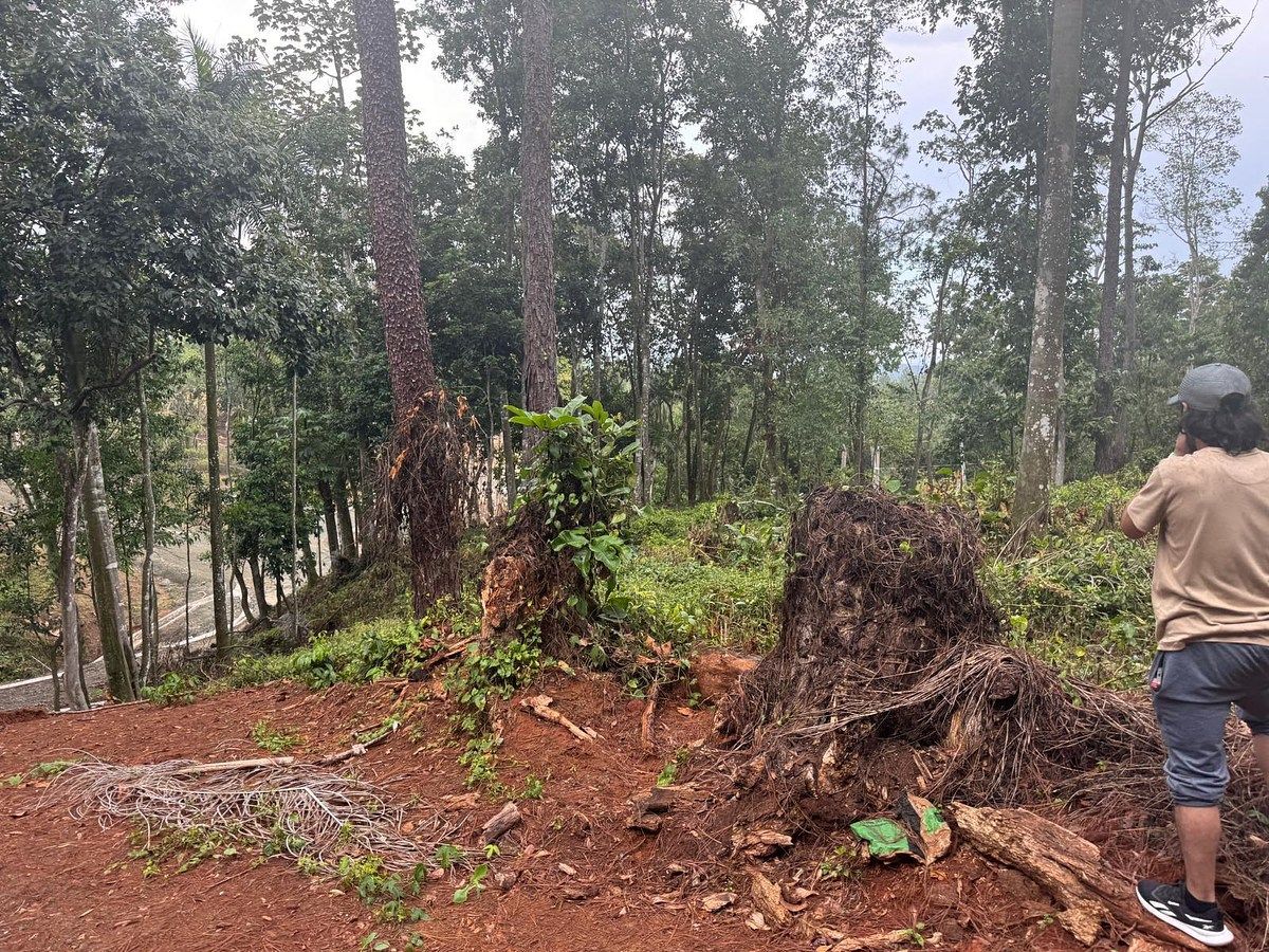 Terreno en Jarabacoa, foto 3 de 4