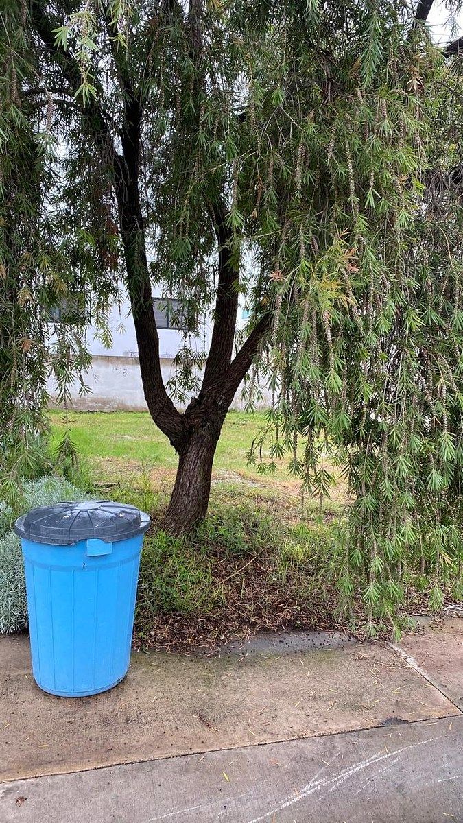 Lote em Valle Imperial, Zapopan, foto 10 de 19