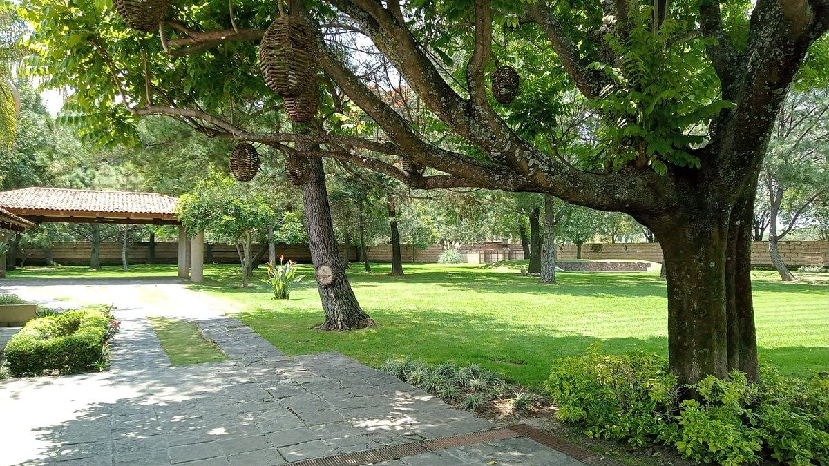 Lot in Haciendas San Acasio, Zapopan, photo 9 of 43