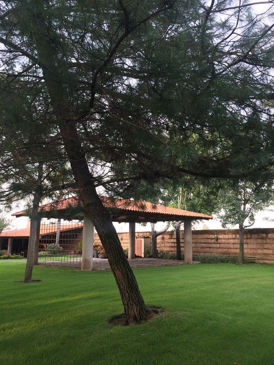 Lot in Haciendas San Acasio, Zapopan, photo 12 of 43