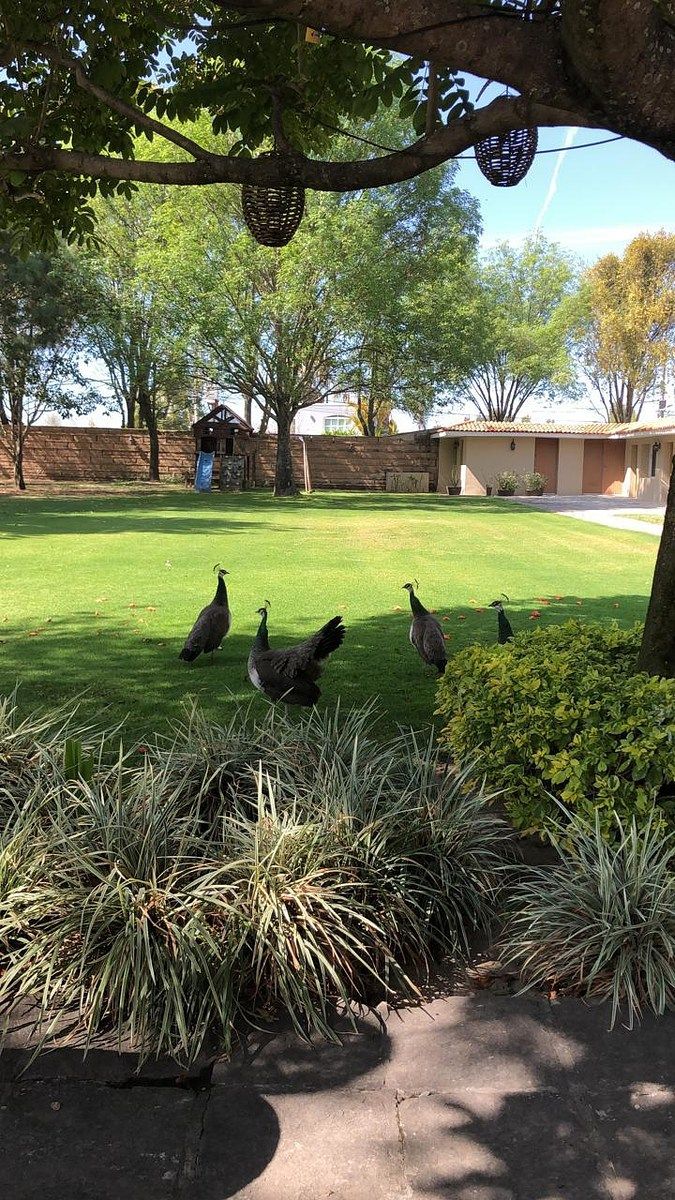 Lot in Haciendas San Acasio, Zapopan, photo 13 of 43