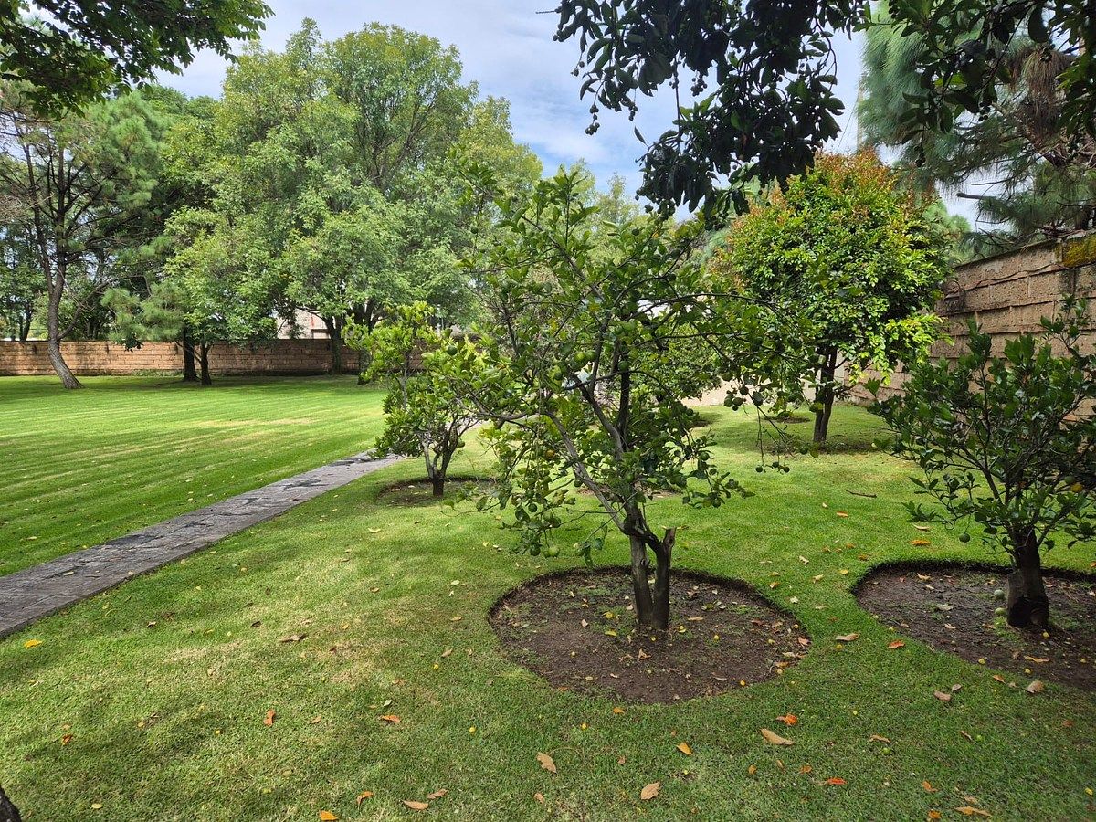Lot in Haciendas San Acasio, Zapopan, photo 19 of 43