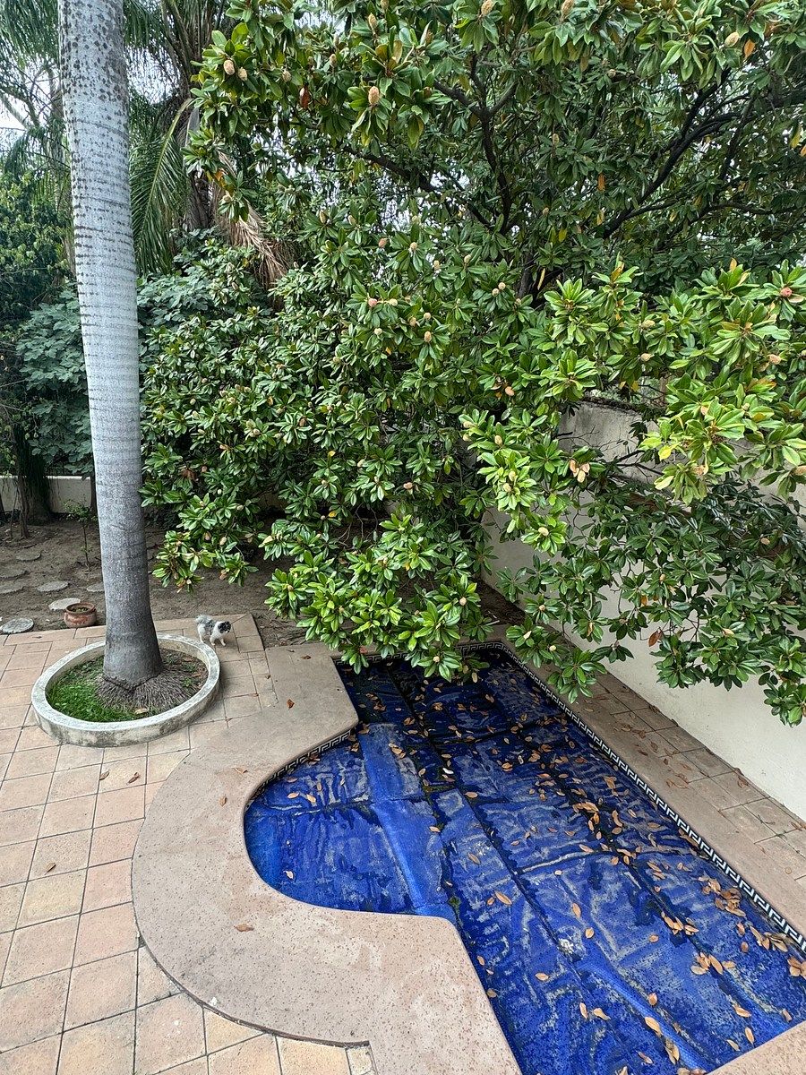 Casa en Jardines de San Agustin, San Pedro Garza García, foto 5 de 8
