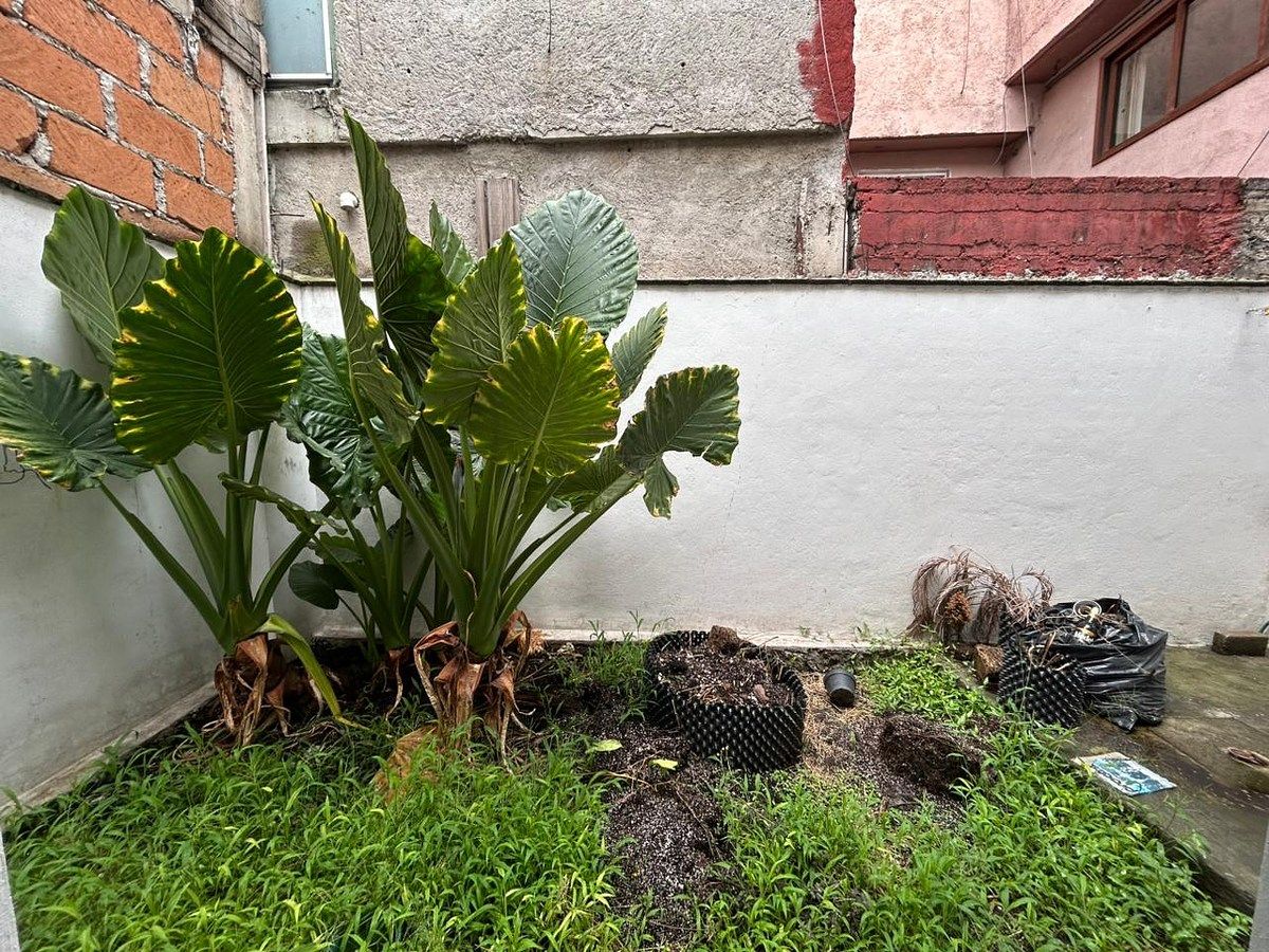 Casa em Pedregal de Santo Domingo, Coyoacán, foto 27 de 49