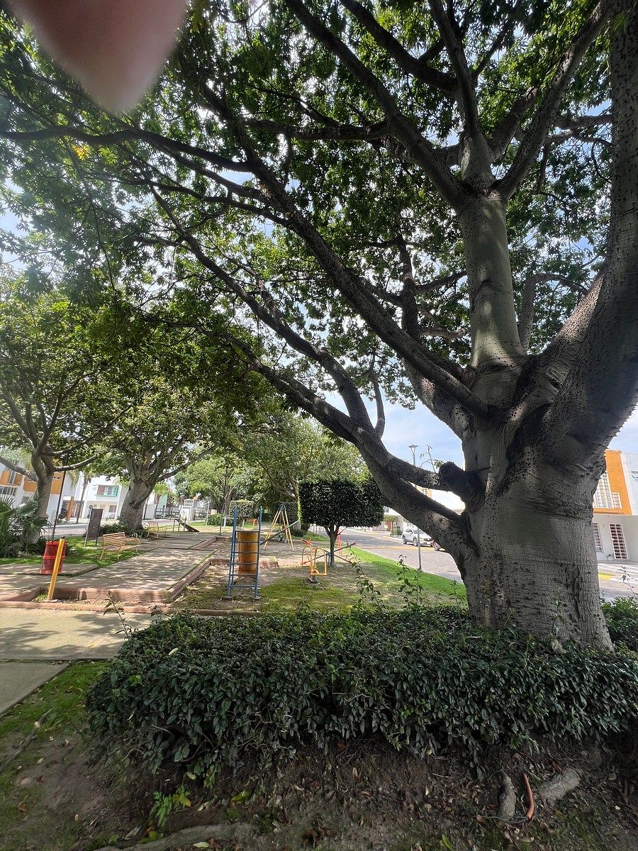 Casa en condominio en Parques del Bosque, Tlaquepaque, foto 31 de 31