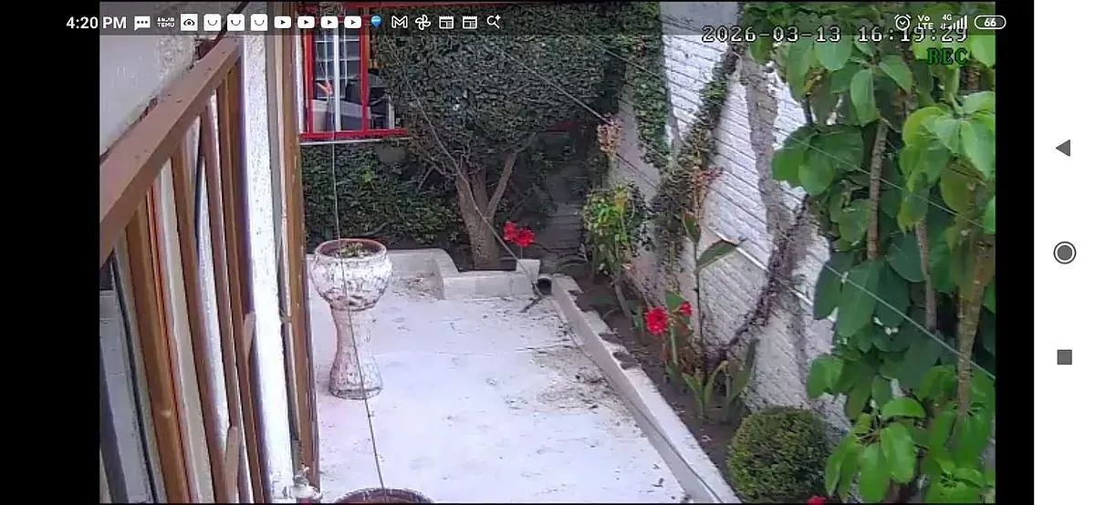 Casa en Los Pirules, Tlalnepantla de Baz, foto 27 de 28