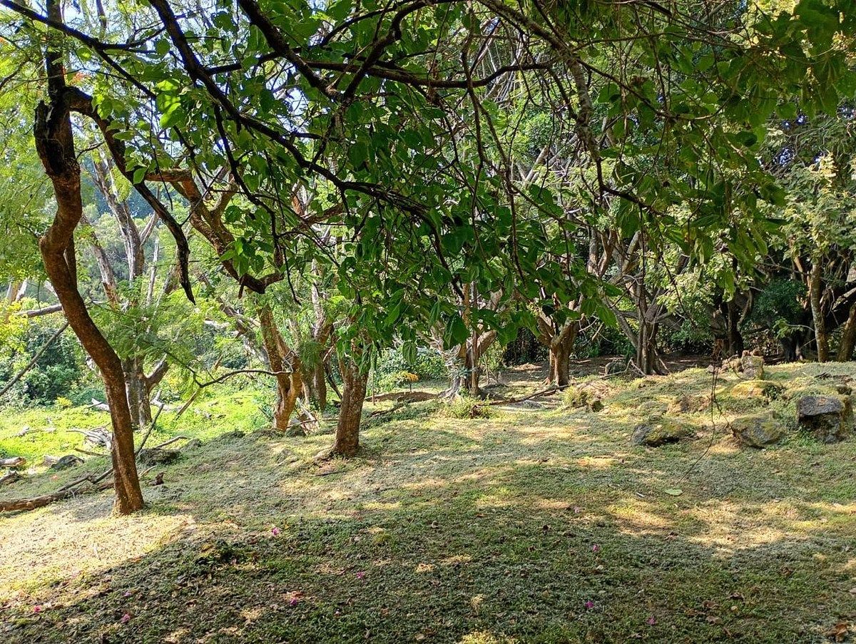 Lote em Bellavista, Cuernavaca, foto 4 de 5