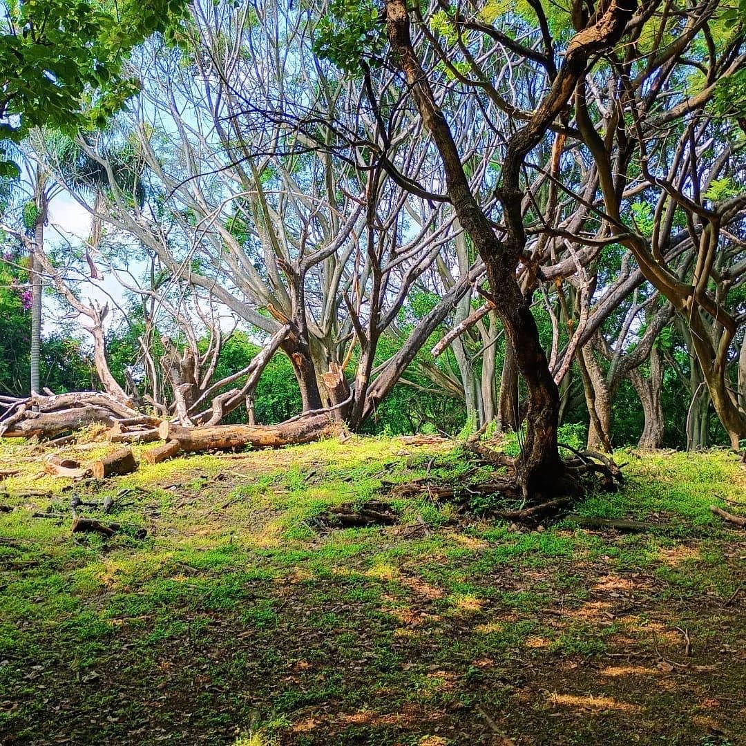 PQC_Oportunidade para desenvolvedores. Terreno com uso do solo múltiplo., foto 1 de 5