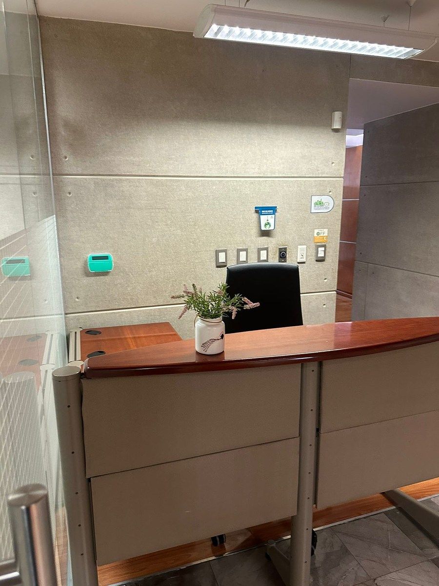Office in Anzures, Miguel Hidalgo, photo 2 of 12