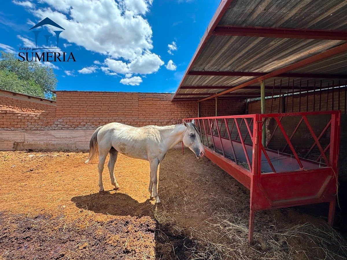 Casa en Namiquipa, Namiquipa, foto 21 de 22