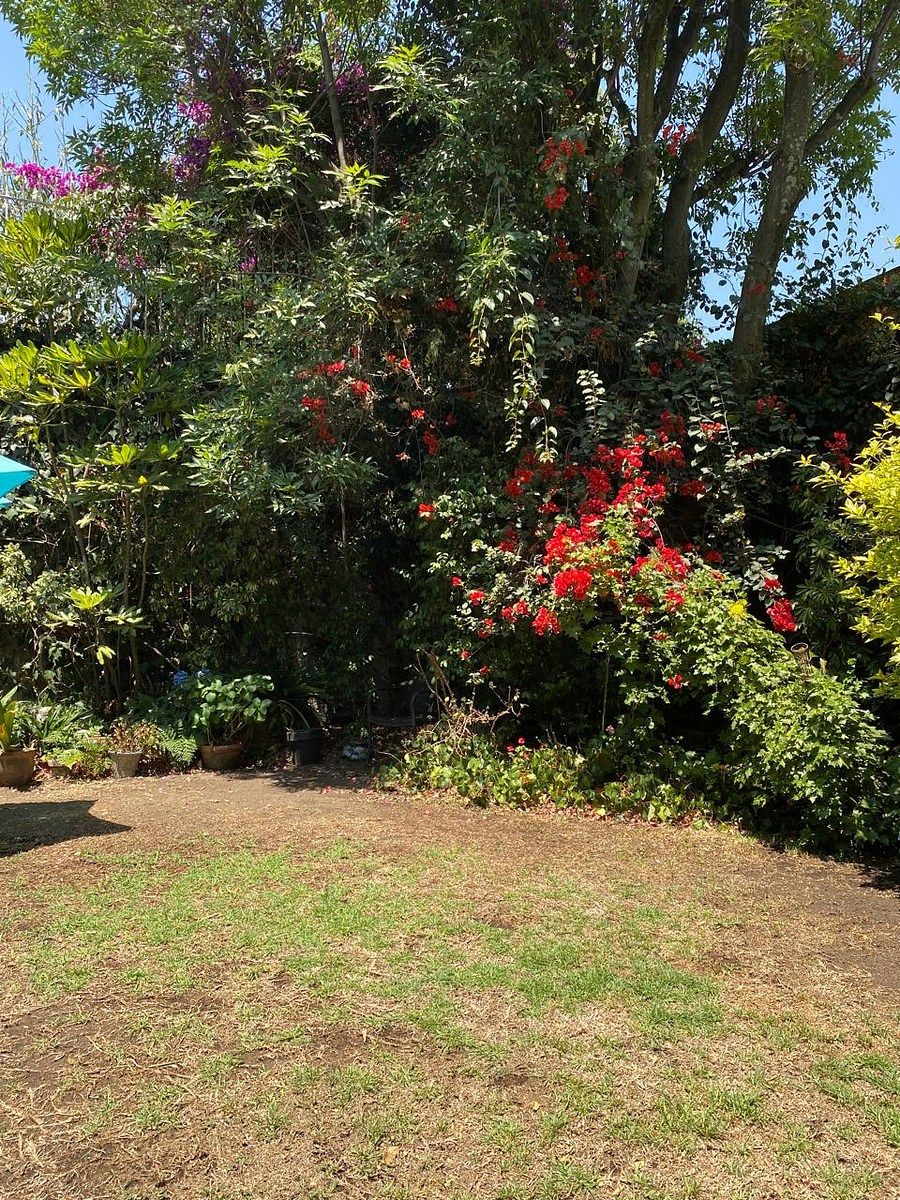 Casa em Lomas de las Palmas, Huixquilucan, foto 11 de 26