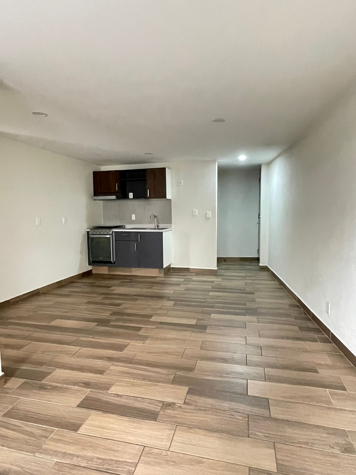 Apartment in Artes Graficas, Venustiano Carranza, photo 4 of 17