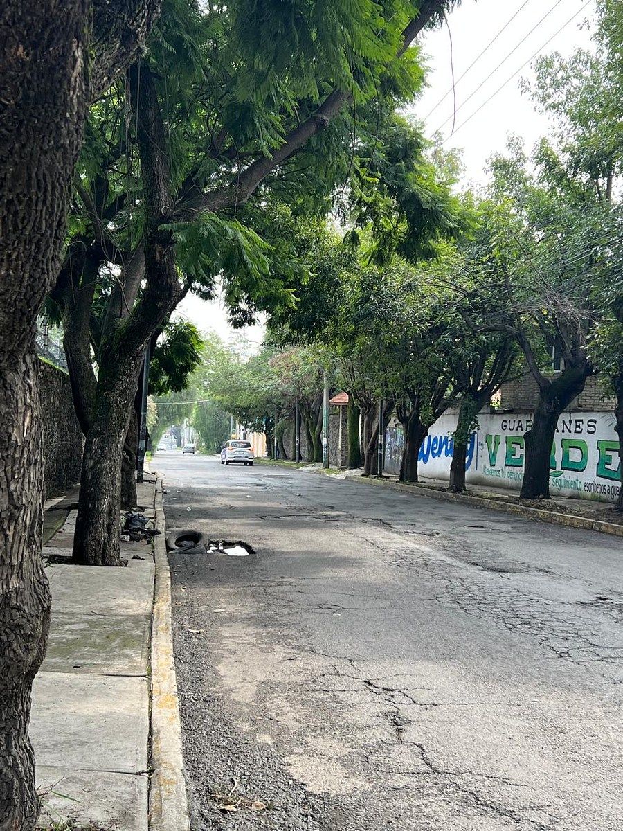 Terreno en San Lucas Xochimanca, Xochimilco, foto 6 de 21