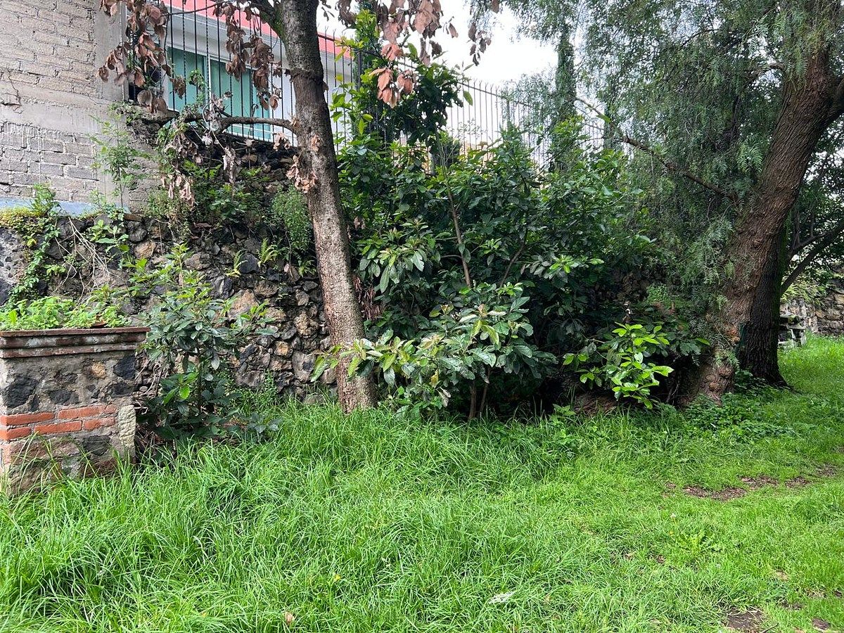 Terreno en San Lucas Xochimanca, Xochimilco, foto 20 de 21