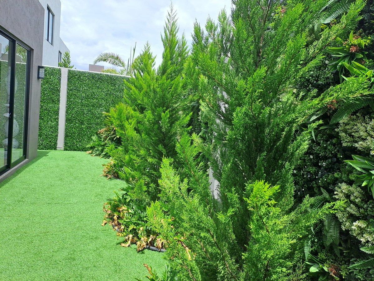 Jardín, foto 6 de 11