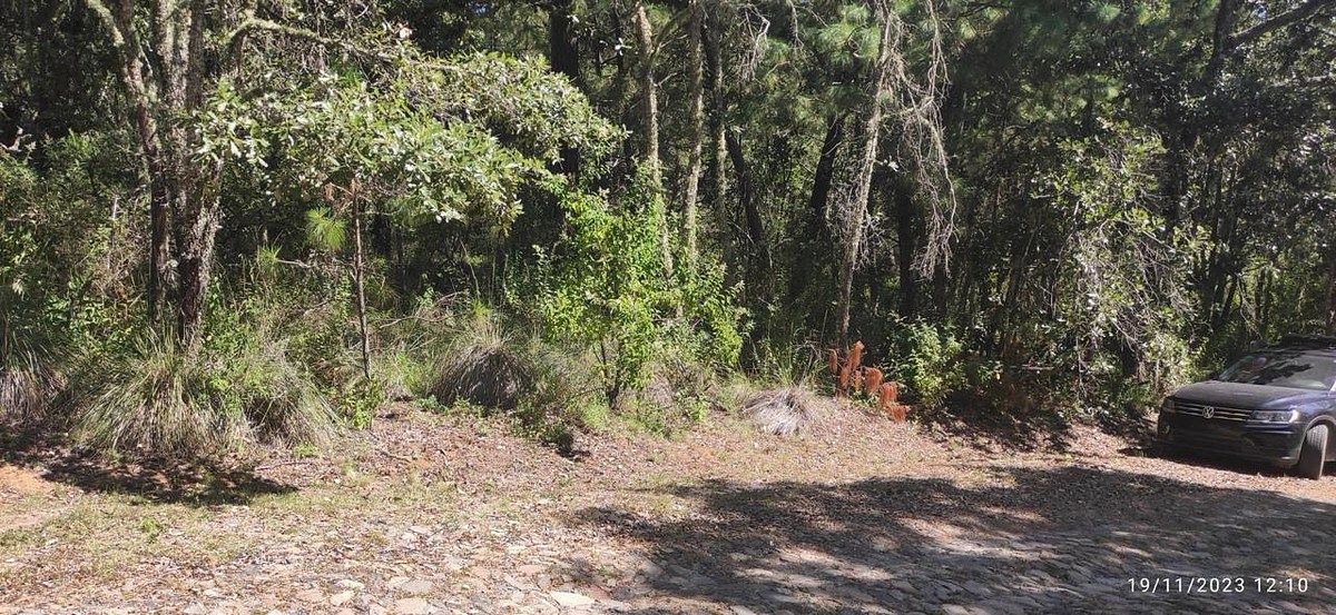 Lote em Tapalpa, Tapalpa, foto 3 de 8