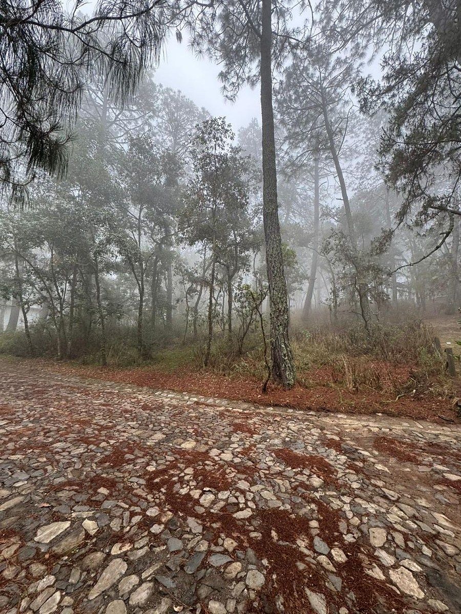 Lote em Tapalpa, Tapalpa, foto 5 de 8