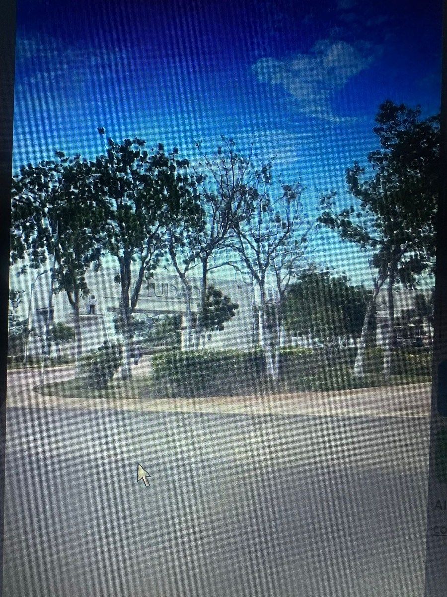 Lot in Mérida - Progreso, Mérida, photo 3 of 7