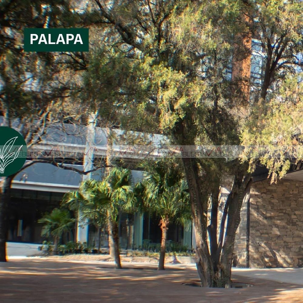 Departamento en Santa María, Monterrey, foto 17 de 22