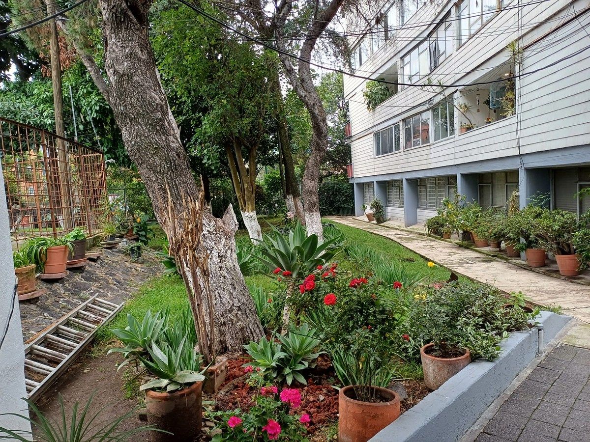 Apartamento em Unidad Independencia IMSS, La Magdalena Contreras, foto 27 de 31