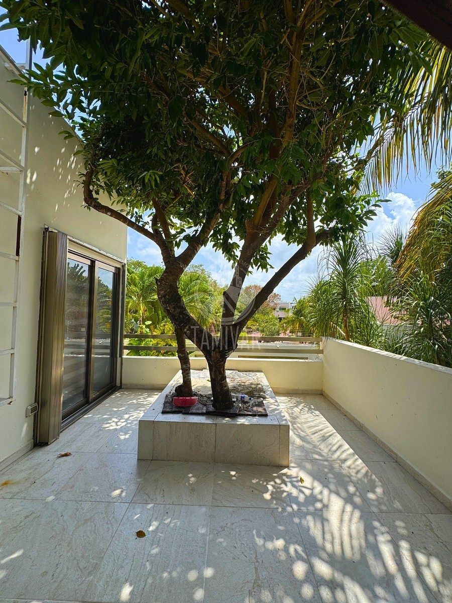 Casa en Cancún Centro, Benito Juárez, foto 23 de 38