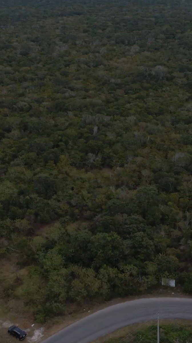 Terreno en Dzityá, Mérida, foto 3 de 4