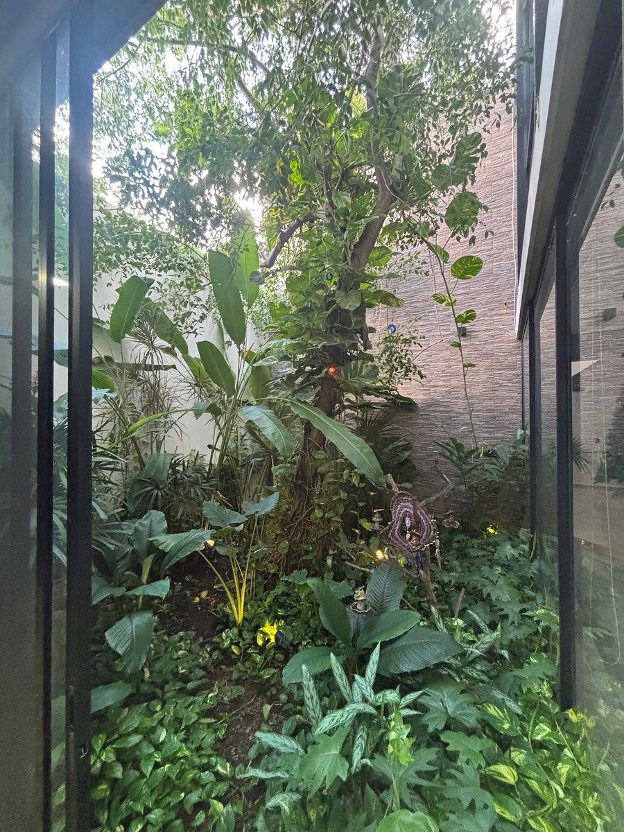House in San Camilo, Kanasín, photo 10 of 26