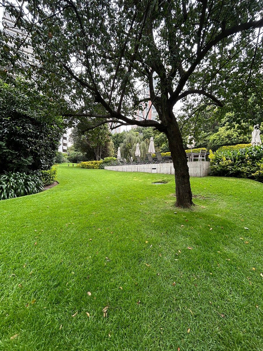 Departamento en Bosques de las Lomas, Cuajimalpa de Morelos, foto 38 de 47