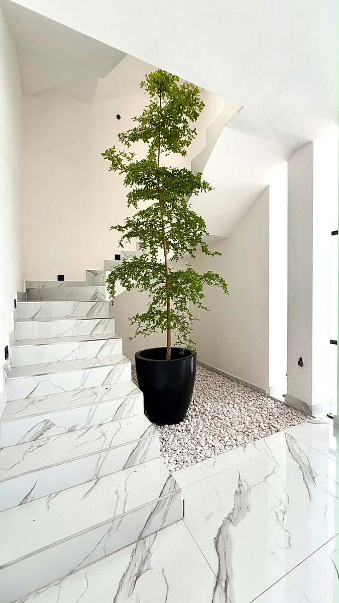 Casa em Paisajes del Tesoro, Tlaquepaque, foto 10 de 15